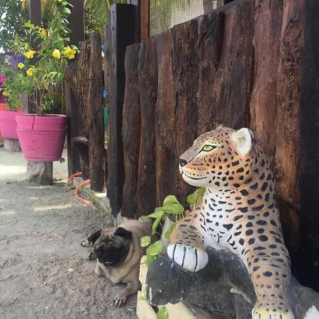 Hotel Hacienda La Catrina Isla Holbox Bagian luar foto
