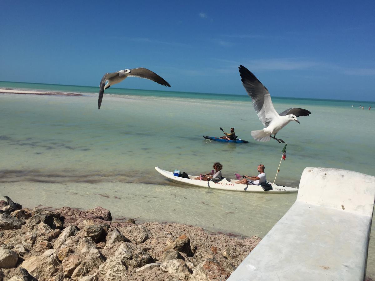 Hotel Hacienda La Catrina Isla Holbox Bagian luar foto