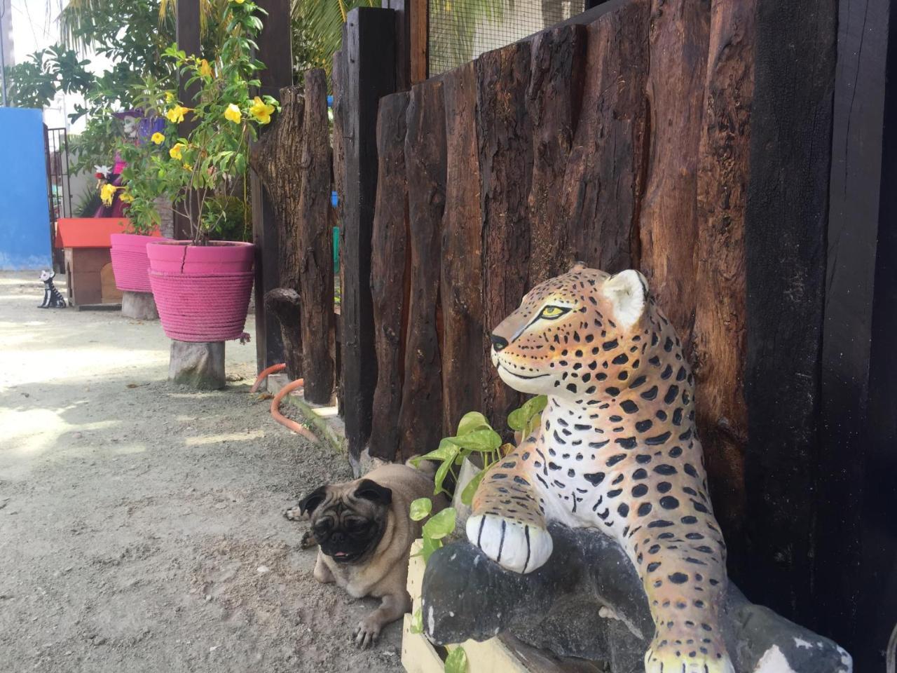 Hotel Hacienda La Catrina Isla Holbox Bagian luar foto